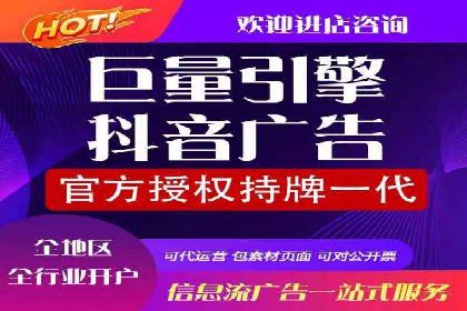 信息流广告投放公司：成功案例解析